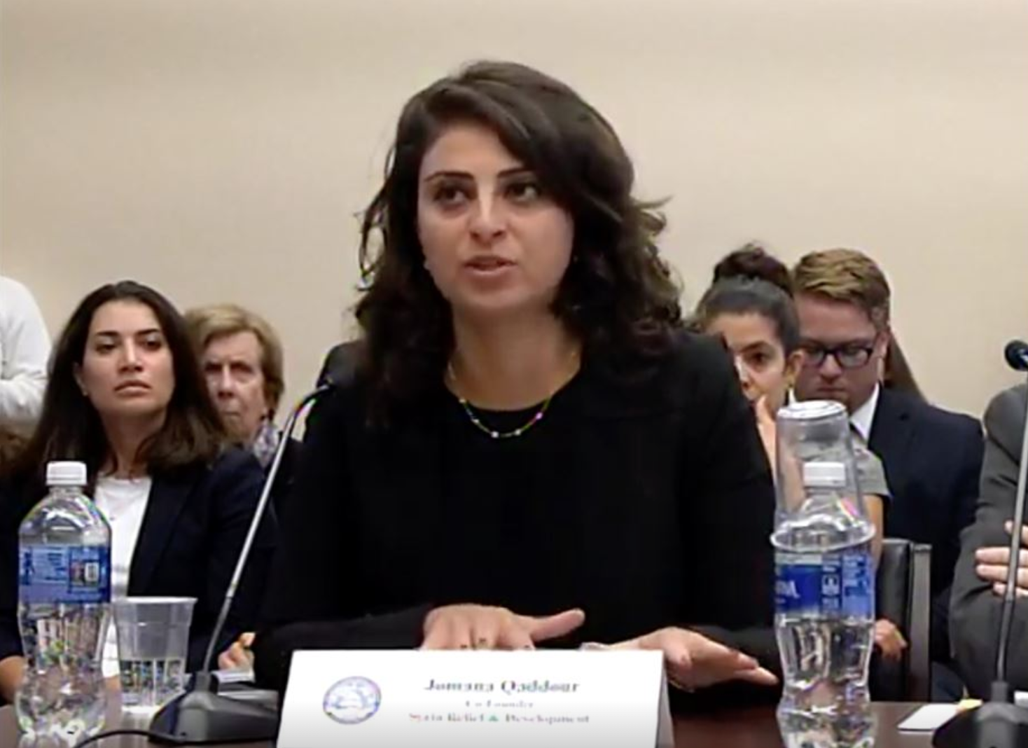 Jomana Qaddour testifies before Congress